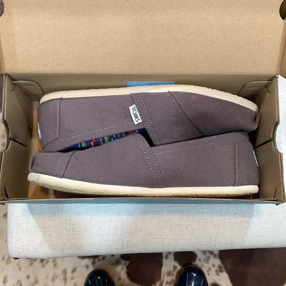 Toms Shoes - Tom’s Ash canvas